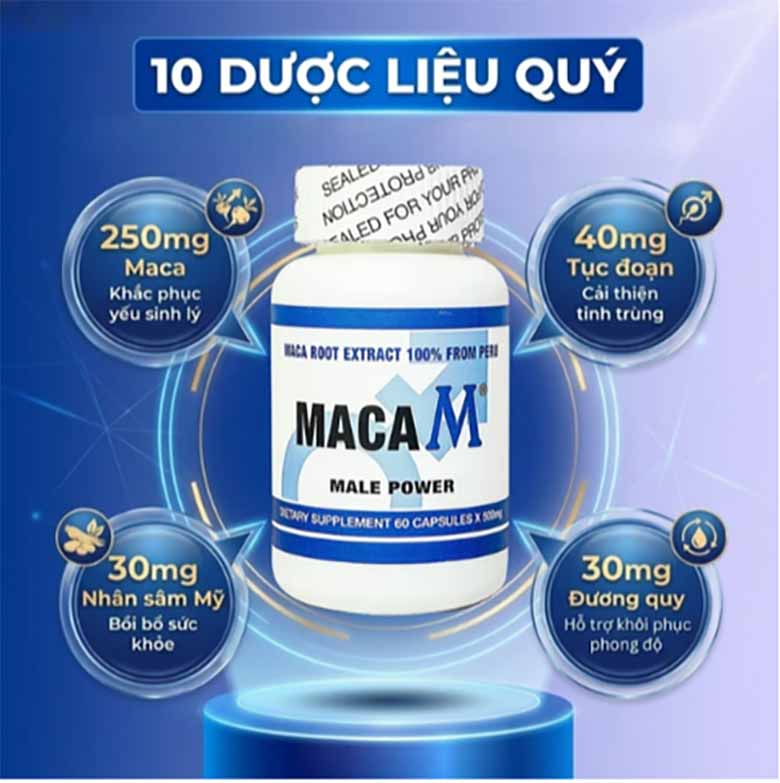 Maca M có tốt không? Có nên sử dụng Maca M để hỗ trợ sức khỏe nam giới? 