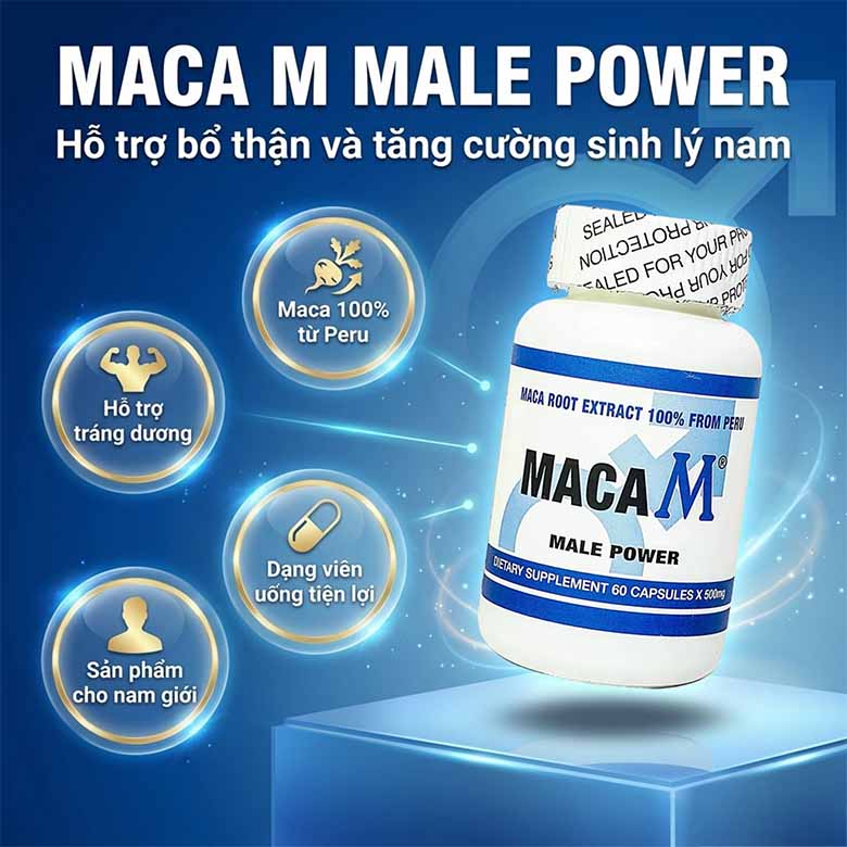 Maca M có tốt không? Có nên sử dụng Maca M để hỗ trợ sức khỏe nam giới? 